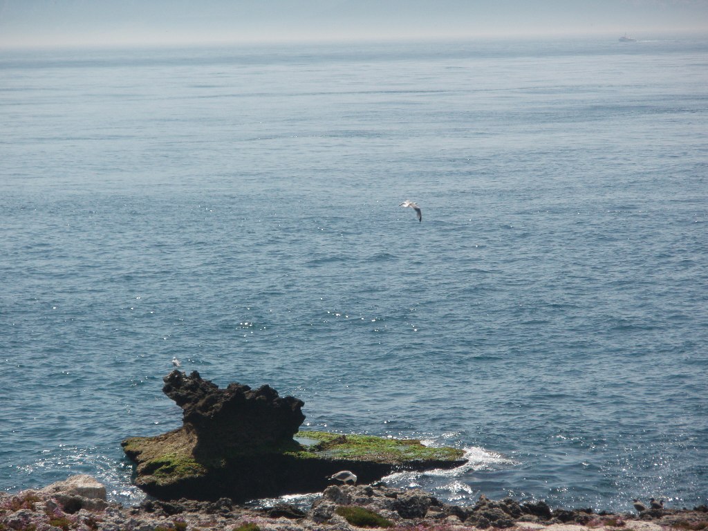 Punta meridional de Europa: la isla de Las Palomas