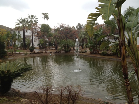 Los jardines de la colonia El Ángel son los más bellos del municipio