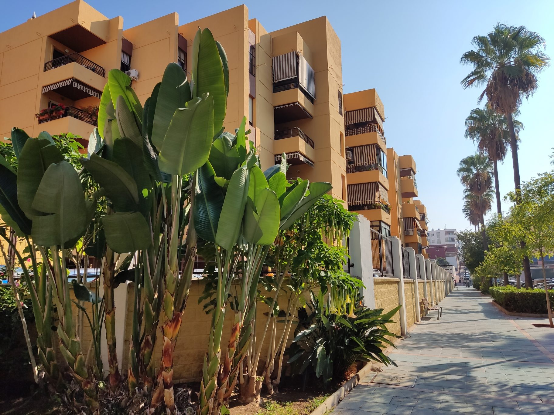 Vivienda de Supervisión al Tratamiento de Horizont proyecto Hombre. Marbella